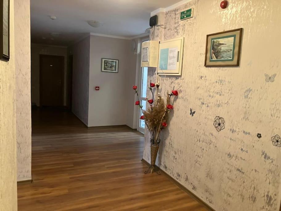 Joy Apartment סאני ביץ' מראה חיצוני תמונה